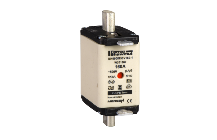 Saugiklis 125A gG NH00 500V AC - SCHNEIDER ELECTRIC