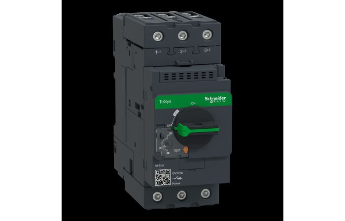 Apsauga variklio 48-65A 30kW - SCHNEIDER ELECTRIC