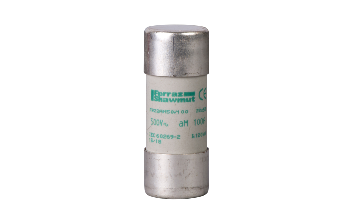 Saugiklis 100A 500V 22x58mm aM TeSys - SCHNEIDER ELECTRIC