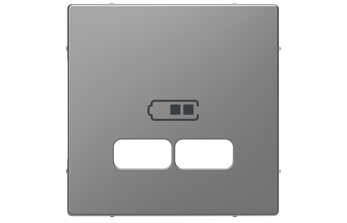 Dangtelis dvigubam USB lizdui su simboliu "Baterija" nerūdijančio plieno spalvos System Design - SCHNEIDER ELECTRIC