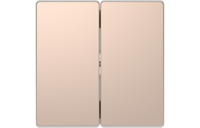 Klavišas dvigubam jungikliui šampano spalvos System Design - SCHNEIDER ELECTRIC