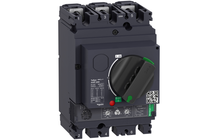 Apsauga variklio 220A 90-110kW GV5P TeSys - SCHNEIDER ELECTRIC
