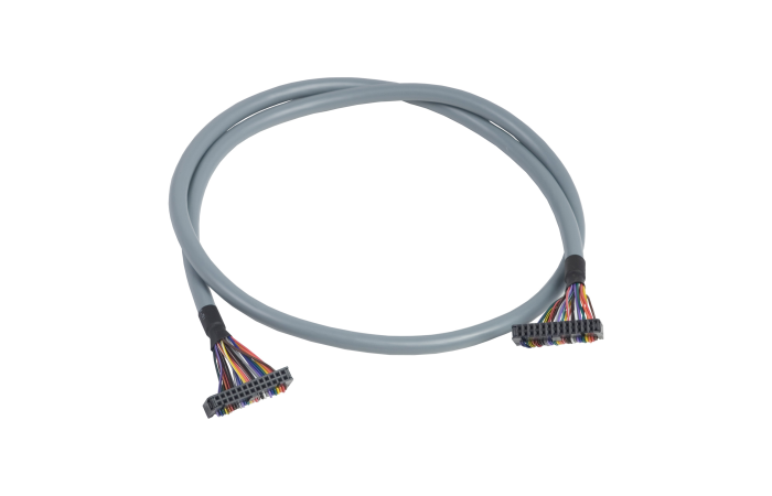 TELEFAST TWIDO KABELIS HE10 20PIN 2M, ABFT20E200, AUTOMATION CONTROLLERS, DISTRIBUTED I/O FOR MACHINE ORIENTED PLCS, I/O, PREWIRING TELEFAST, AS-I - SCHNEIDER ELECTRIC (pavadinimas tikslinamas)