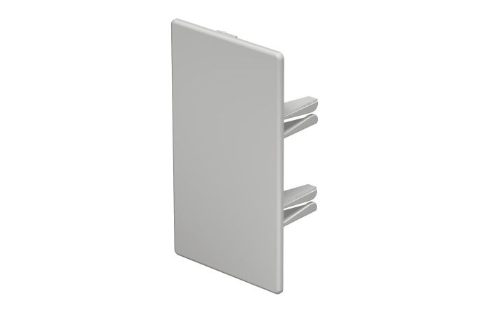 Galinis dangtelis behalogenis 60x110mm Polikarbonatas/akrilnitrilo-butadieno-stirenas šviesiai pilka RAL 7035 WDKH-E60110LGR - OBO BETTERMANN (pavadinimas tikslinamas)