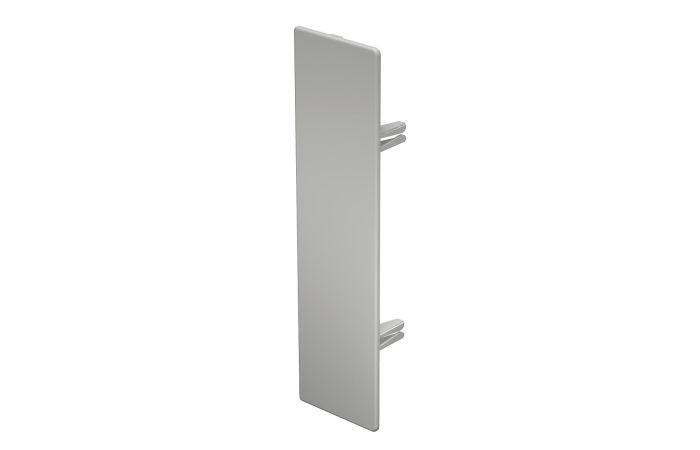 Galinis dangtelis 60x230mm Polivinilo chloridas šviesiai pilka RAL 7035 WDK HE60230LGR - OBO BETTERMANN (pavadinimas tikslinamas)