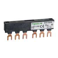 Srovėlaidis 2 GV apsaugoms 63A 45mm - SCHNEIDER ELECTRIC