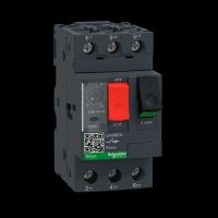Apsauga variklio 0.25-0.40A - SCHNEIDER ELECTRIC