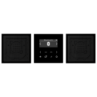 Radijas skaitmeninis juodas su bluetooth sąsaja LS - JUNG