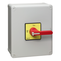 Jungiklis saugumo 3P 100A 37kW IP65 - SCHNEIDER ELECTRIC