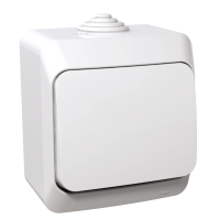 Perjungiklis v/t kryžminis IP44 baltas 16A 250V CEDAR PLUS - SCHNEIDER ELECTRIC