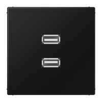 Lizdas p/t dvigubas USB 2.0 juodos spalvos LS - JUNG