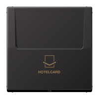Dangtelis kortelinio jungiklio HOTELCARD aliumininis dark spalvos LS - JUNG