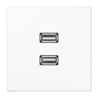 Lizdas p/t dvigubas USB 2.0 baltos spalvos LS - JUNG