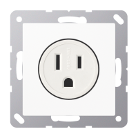 Lizdas p/t baltas 15A/125V US-Norm A - JUNG