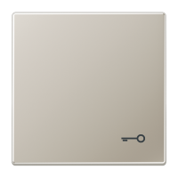 Dangtelis TAE/USB lizdui plieninis LS - JUNG