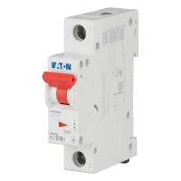 Automatas 1P 10A D 10kA PL7-D10/1 - EATON