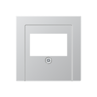 Dangtelis TAE/USB lizdui aliuminio spalvos A - JUNG