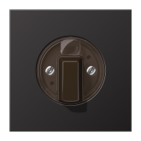 Dangtelis pasukamo jungiklio aliumininis dark spalvos LS - JUNG