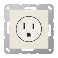 US-NEMA socket - JUNG (pavadinimas tikslinamas)