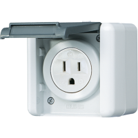Socket US NEMA system - JUNG (pavadinimas tikslinamas)
