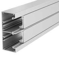 Rozetinis kanalas Rapid 45-2 2-jų skyrių Alu 53x130x2000 Aliuminis anoduotas GA-53130EL - OBO BETTERMANN (pavadinimas tikslinamas)