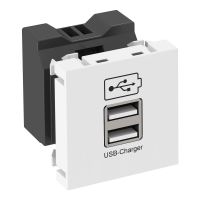 Įkroviklis USB 2.1A 45x45 baltas MTG-2UC2.1 RW1 - OBO BETTERMANN