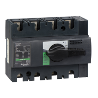 Kirtiklis 4P 125A INS125 - SCHNEIDER ELECTRIC