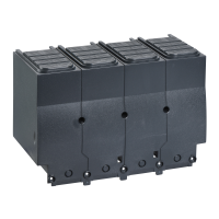 Uždengimas gnybtų INS INV NSX400..630 - SCHNEIDER ELECTRIC