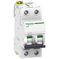 Automatas 2P 40A C 10kA iC60H Acti9 - SCHNEIDER ELECTRIC