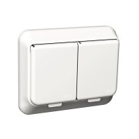Lizdas p/t SCHUKO dvigubas su dangteliu IP44 su apsauga nuo vaikų užspaudžiami kontaktai baltos spalvos 16A 250V AC Exxact - SCHNEIDER ELECTRIC