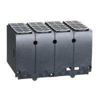Gaubtas gnybtams ilgas 4P NSX100-250 - SCHNEIDER ELECTRIC