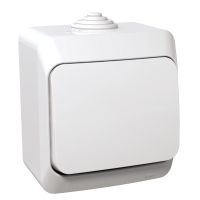 Jungiklis v/t viengubas IP44 baltas 16A 250V CEDAR PLUS WNT-100Y W0401050125 - SCHNEIDER ELECTRIC