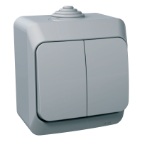 Jungiklis v/t dvigubas IP44 pilkas 16A 250V CEDAR PLUS - SCHNEIDER ELECTRIC