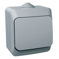 Perjungiklis v/t IP44 pilkas 16A 250V AC CEDAR Plus - SCHNEIDER ELECTRIC