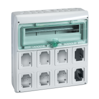 Skydelis v/t 18 (1x18) modulių IP65 8 angos lizdams skaidrios durys Mureva - SCHNEIDER ELECTRIC