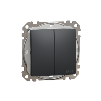 Jungiklis p/t dvigubas IP44 be rėmelio antracito spalvos 10A 250V SEDNA DESIGN - SCHNEIDER ELECTRIC