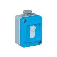 Jungiklis v/t viengubas 10A 400V IP67 - PALAZZOLI