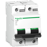 Automatas 2P 125A C 10kA C120N Acti9 - SCHNEIDER ELECTRIC
