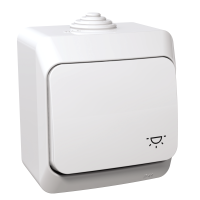 Jungiklis v/t viengubas IP44 baltas su lemputės ženklu Cedar Plus - SCHNEIDER ELECTRIC