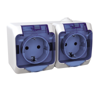 Lizdas v/t SCHUKO dvigubas su permatomu dangteliu IP44 su apsauga nuo vaikų baltas 16A 250V Cedar Plus - SCHNEIDER ELECTRIC