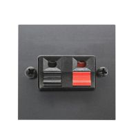 Jungtis audio 2 modulių antracito spalvos N2257.1 - ABB