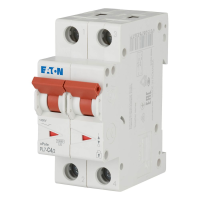 Automatas 2P 4A C 10kA PL7-C4/2 - EATON