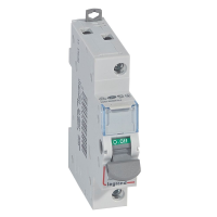 Kirtiklis 1P 20A DX3-IS - LEGRAND