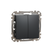 Mygtukas p/t dvigubas be rėmelio antracito spalvos 10A 250V SEDNA DESIGN - SCHNEIDER ELECTRIC