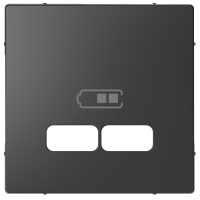 Dangtelis USB pakrov. Lotus antrac - SCHNEIDER ELECTRIC