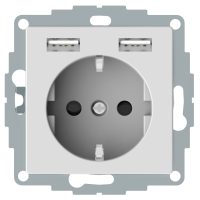 Lizdas p/t SCHUKO su dvigubas USB A 2400mA baltos spalvos - SCHNEIDER ELECTRIC