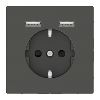 Lizdas p/t SCHUKO su dvigubas USB A 2400mA antracito spalvos - SCHNEIDER ELECTRIC