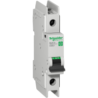 Automatas 1P 2A C 10kA C60BP Multi9 - SCHNEIDER ELECTRIC