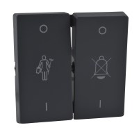 Klavišas dvigubam jungikliui su simboliais antracito spalvos System M - SCHNEIDER ELECTRIC