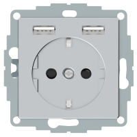 Lizdas p/t SCHUKO be rėmelio su apsauga nuo vaikų su 2xUSB 2.4A aliuminio spalvos System M - SCHNEIDER ELECTRIC